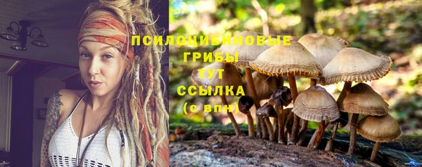 стаф Покров