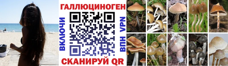 Псилоцибиновые грибы мухоморы  МЕГА маркетплейс  Нововоронеж 